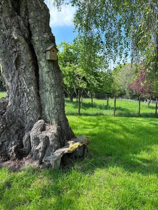 Beautiful 2 Bed Oast - 15 Acre Farm - Holiday home